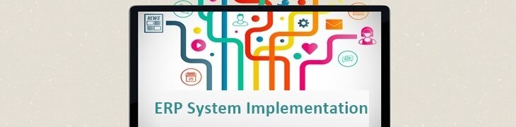 ERP System implementation