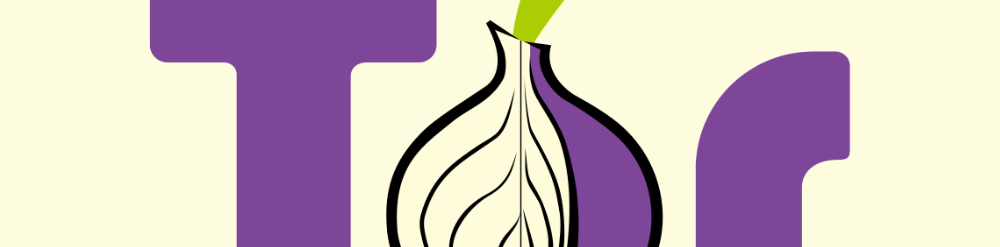 Is it Safe to Use Tor