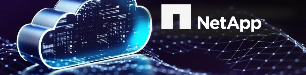 NetApp Optimizes VMware Environments